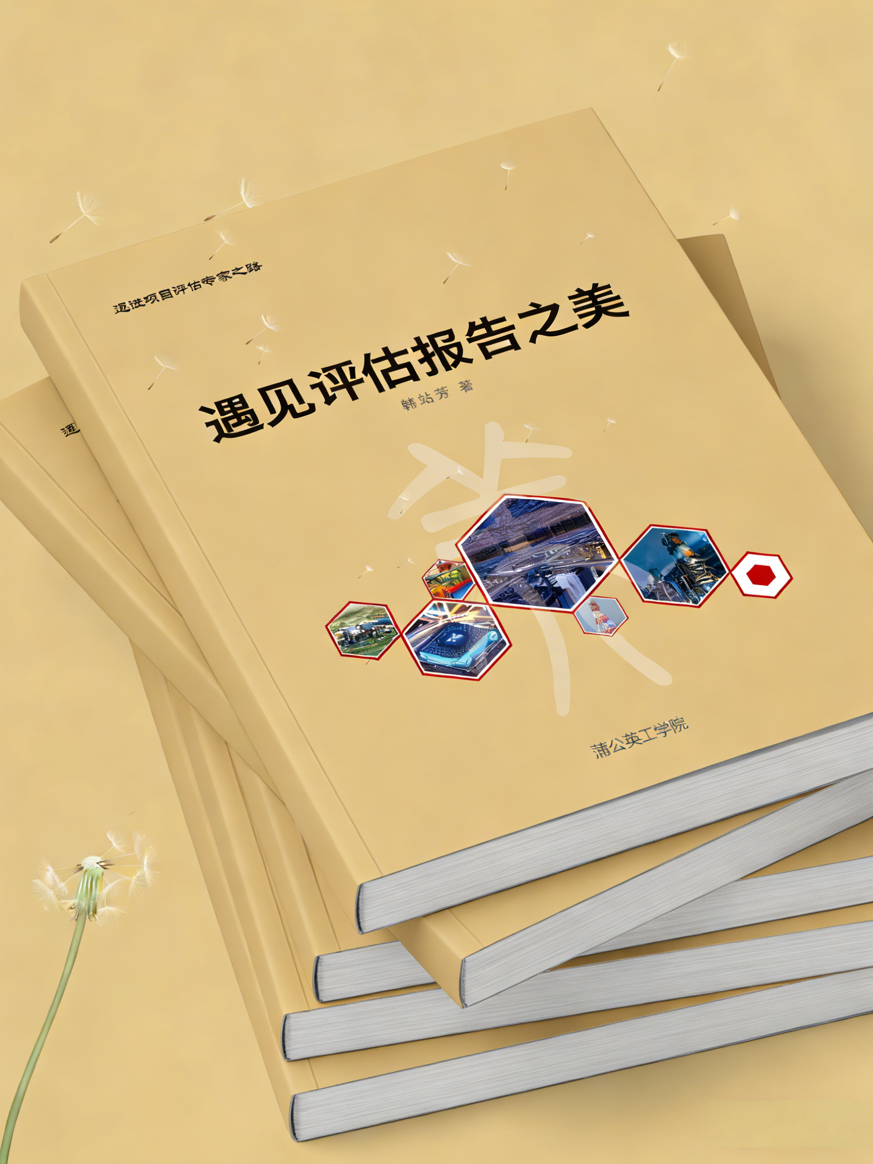 遇见评估报告之美